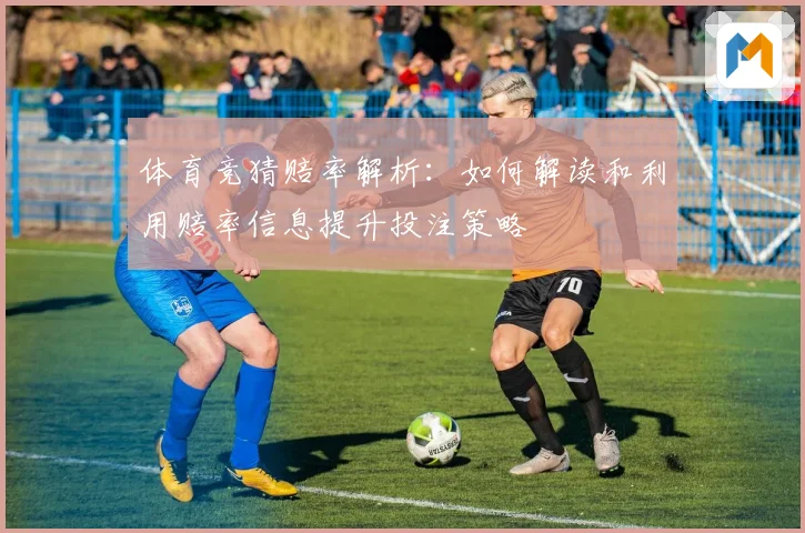 体育竞猜赔率解析：如何解读和利用赔率信息提升投注策略
