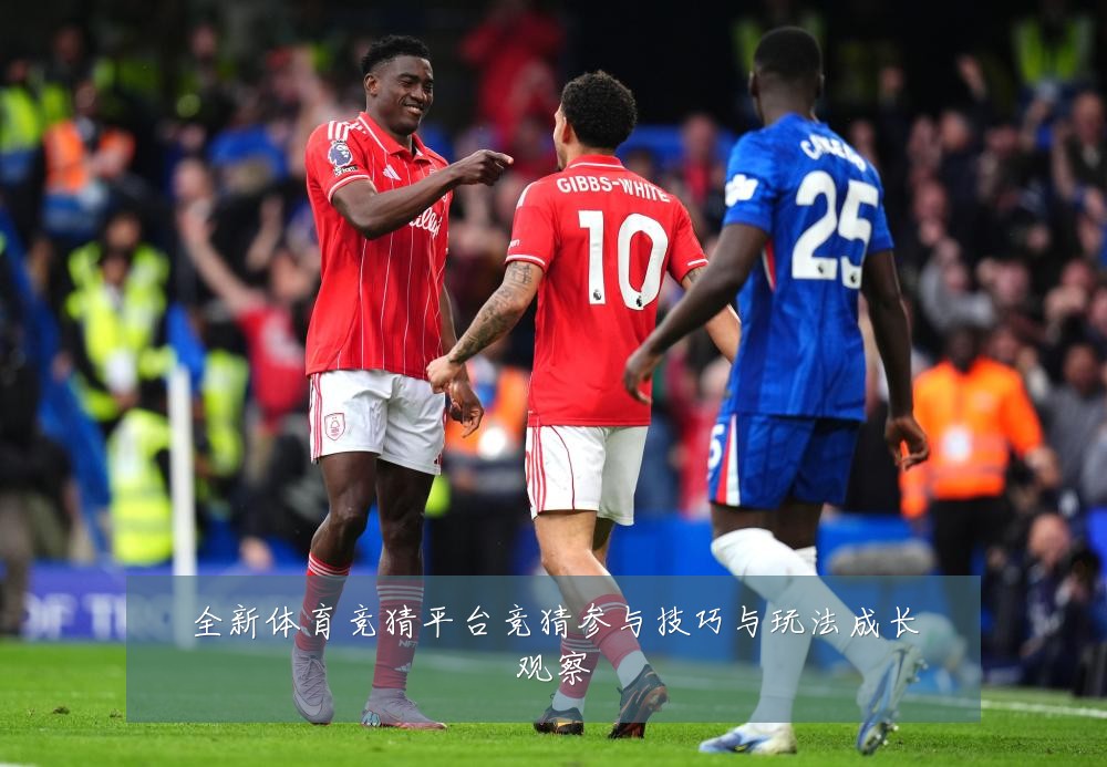 全新体育竞猜平台竞猜参与技巧与玩法成长观察